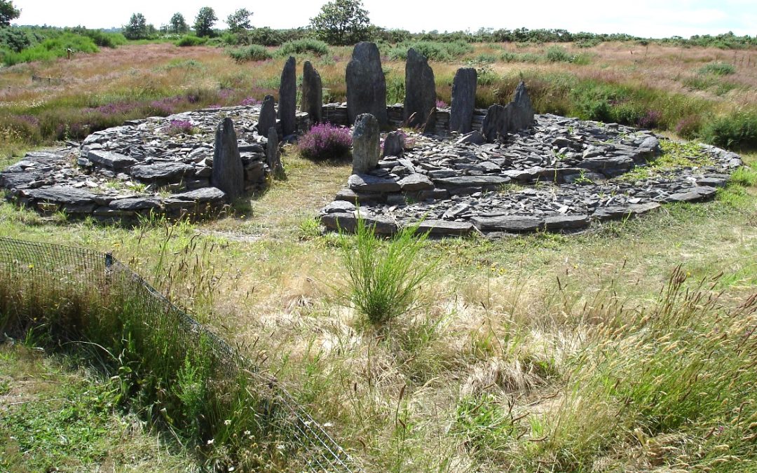 Les Landes de Cojoux (35) Alignements de Saint Just | 28 ou 29 mars